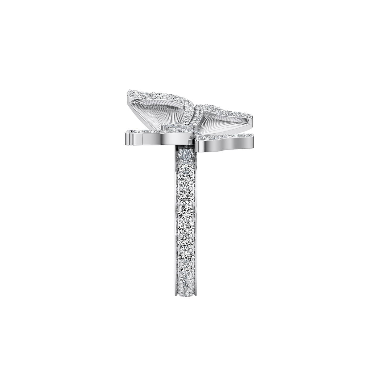 Avia Ring, Small