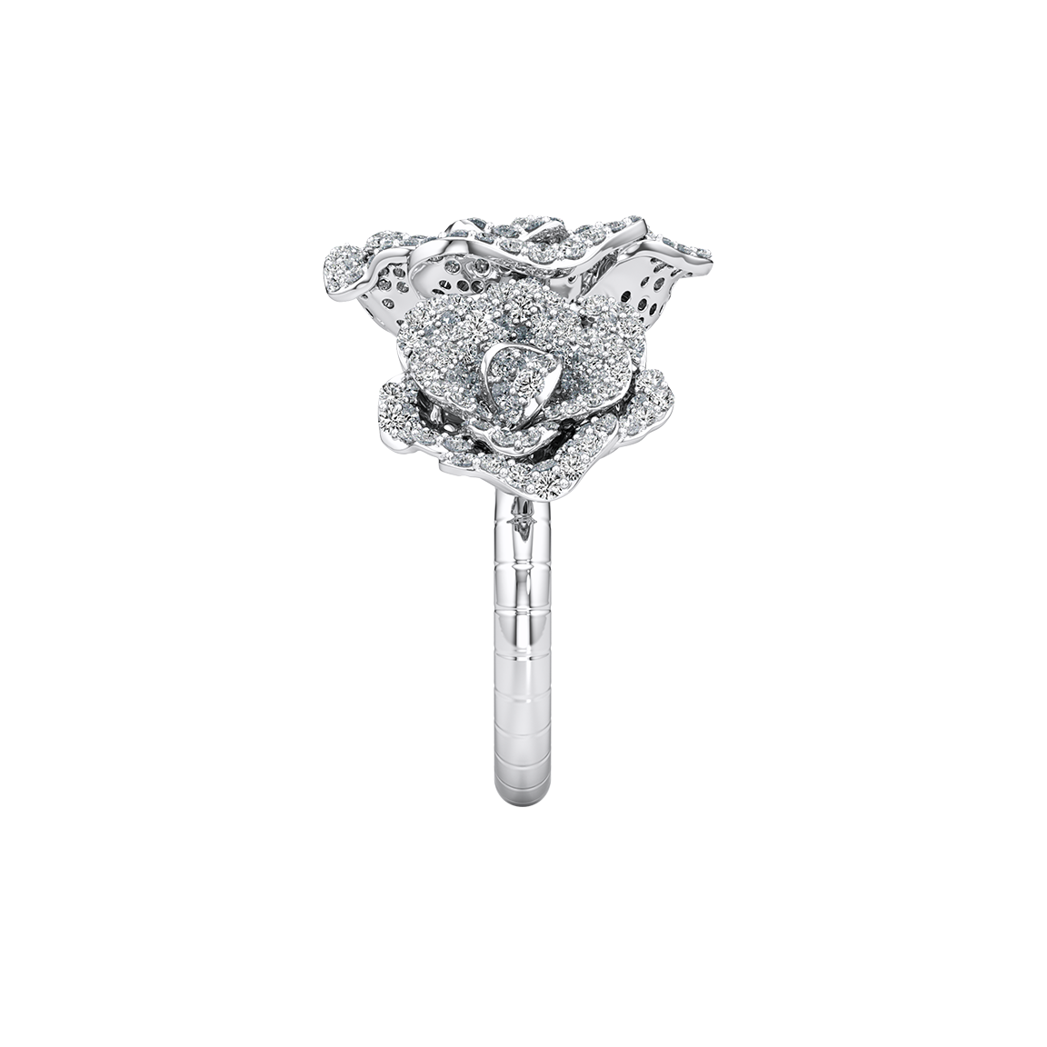 Silver ring with a floral design on a white background